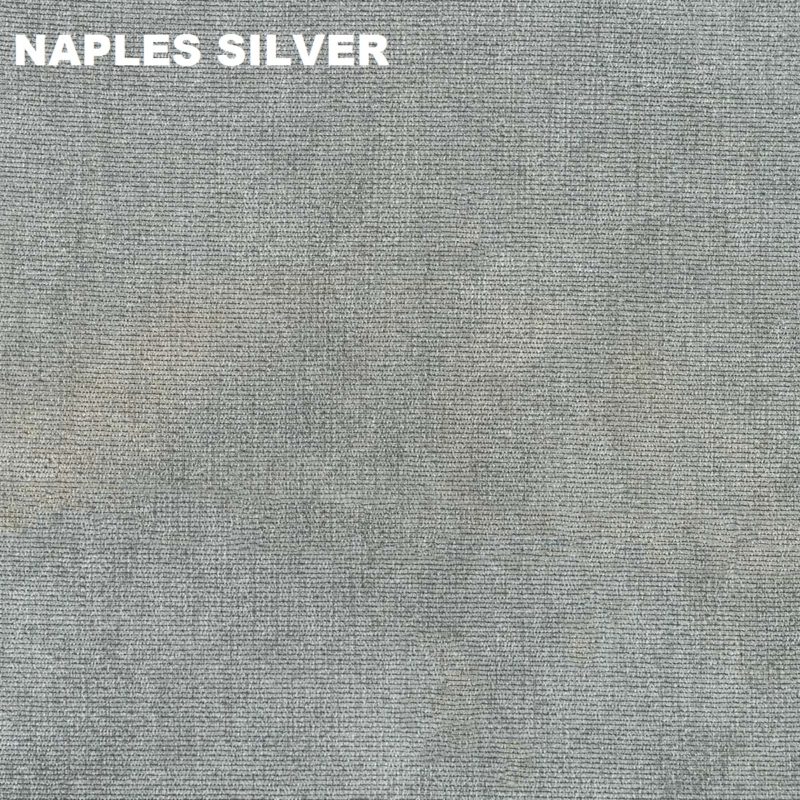 Naples Silver (19)