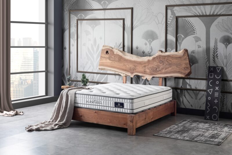 Aloe Vera Dual Mattress