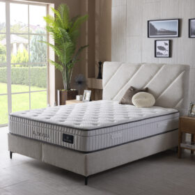 Aloe Vera Divan Set Deal