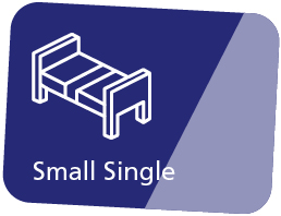 Small Single (2'6")