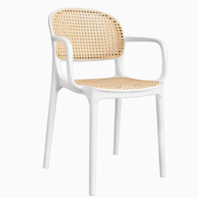 Polypropylene Chair (218B2W)